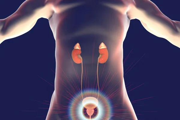 Urodynamics